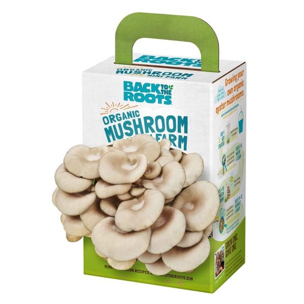 Back to the Roots Organic Mini Mushroom Grow Kit