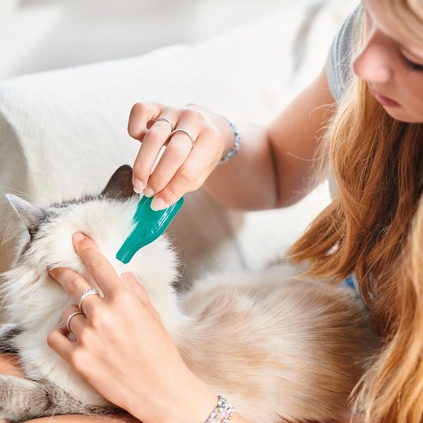 Beaphar Plus Flea and Tick Treatment for Cats